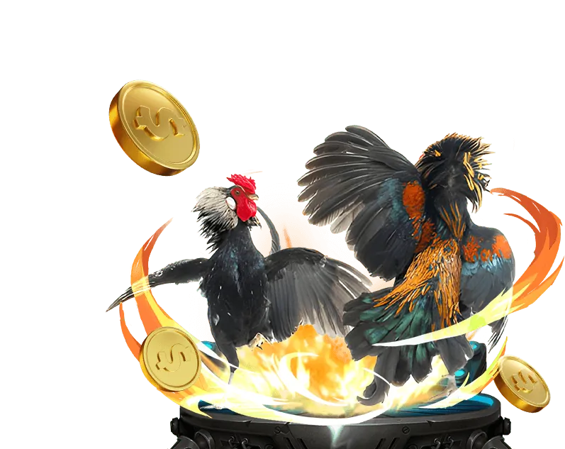 Đá gà trực tiếp BJ88